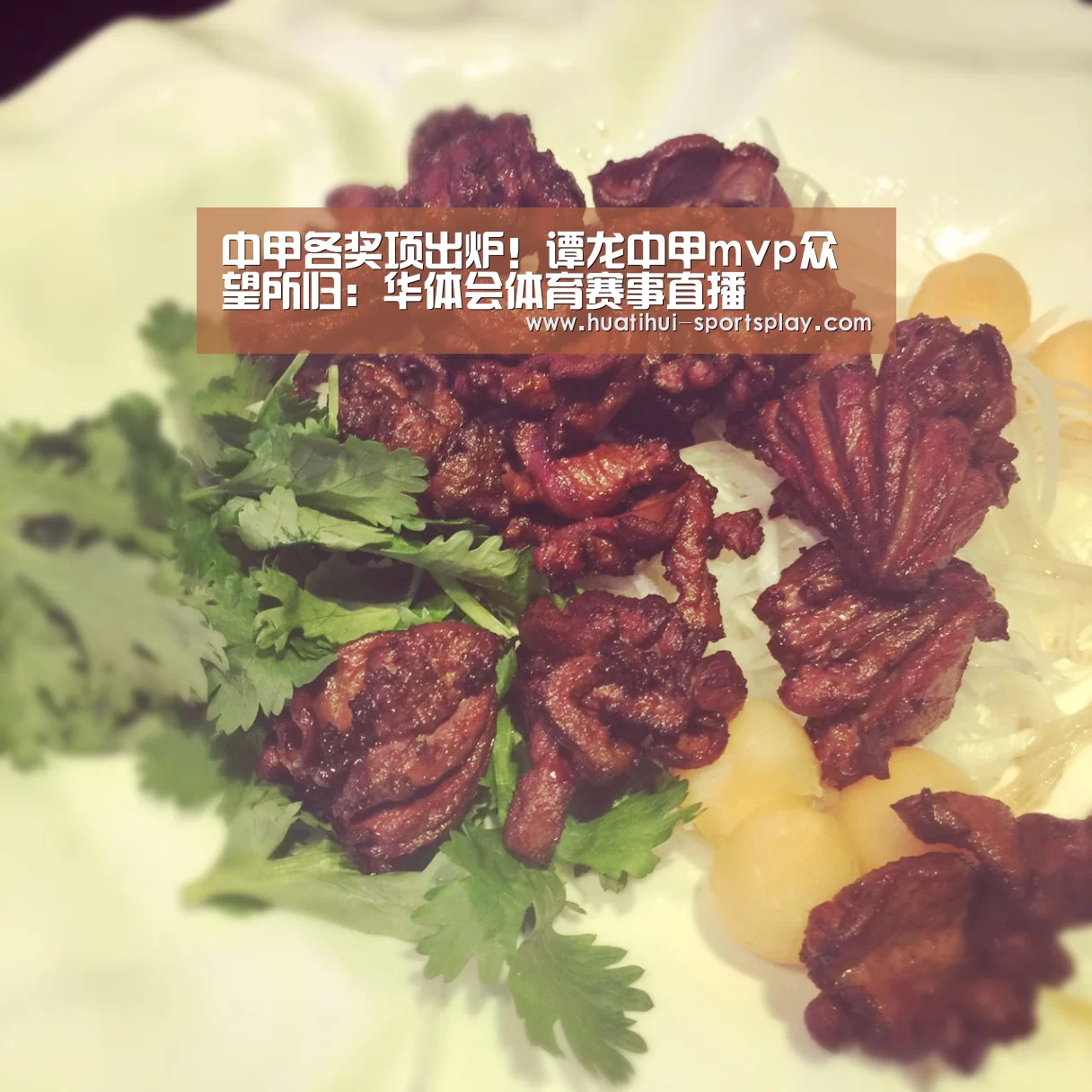 
中甲各奖项出炉！谭龙中甲mvp众望所归：华体会体育赛事直播