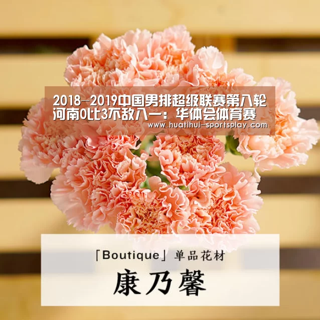
2018-2019中国男排超级联赛第八轮河南0比3不敌八一